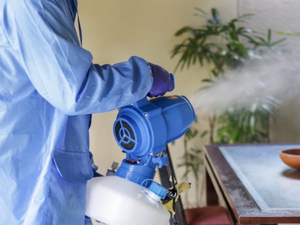 Pest Control Service