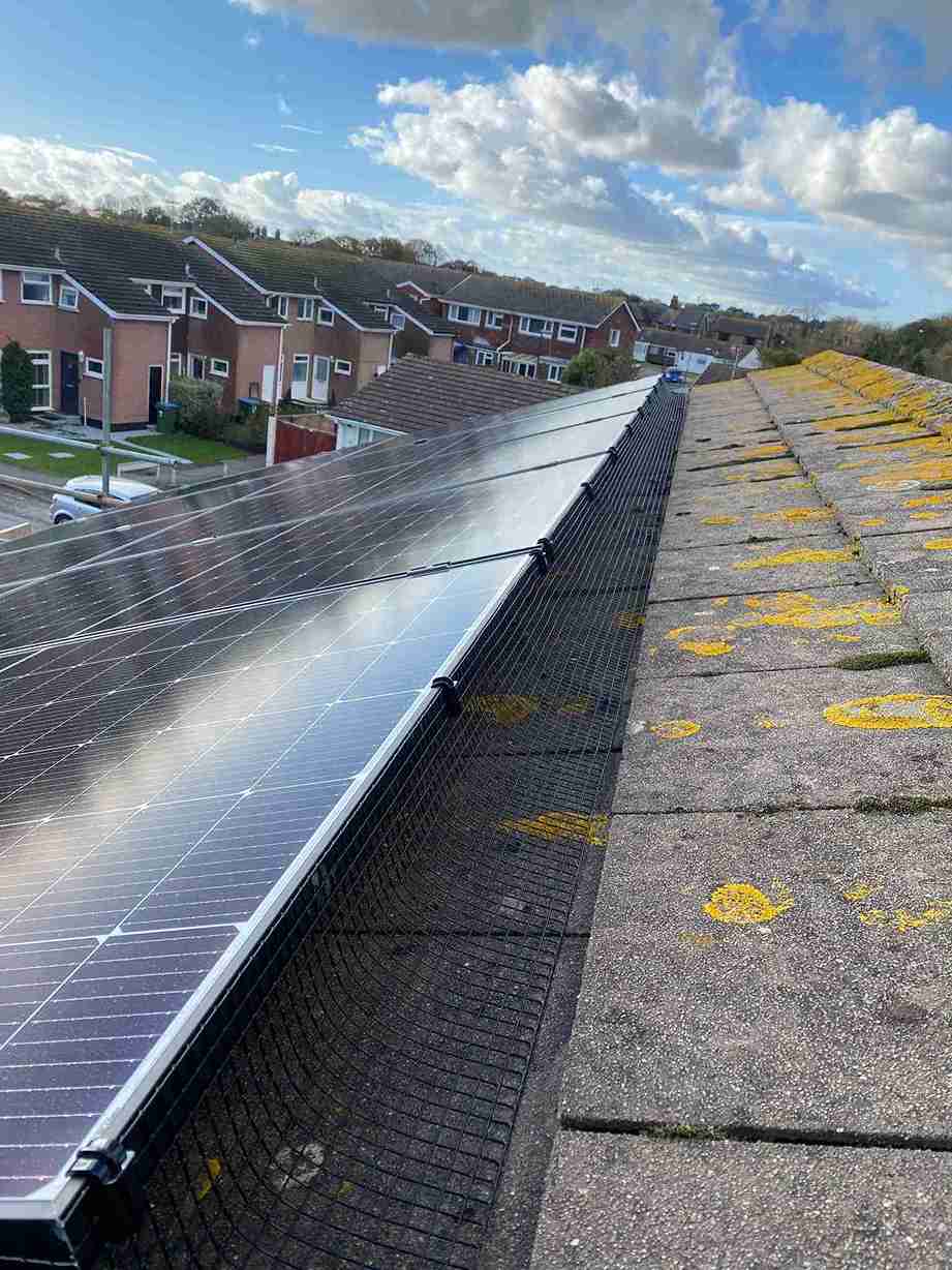 solar panel bird proofing