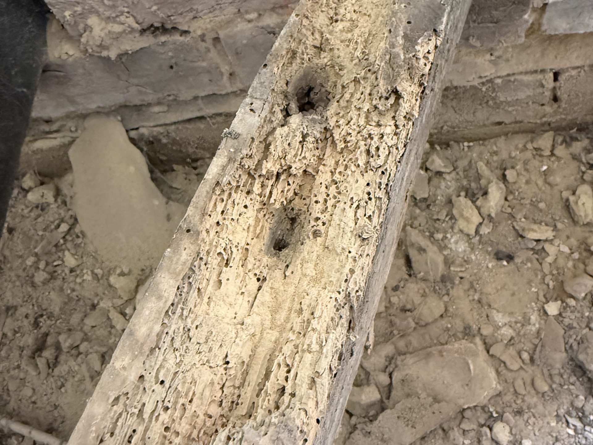 Woodworm Treatment UK